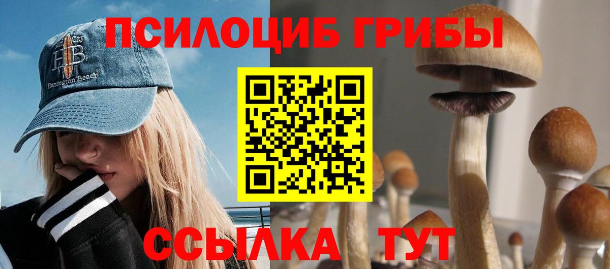 Краснознаменск  Псилоцибиновые грибы GOLDEN TEACHER  Вход с VPN 